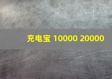 充电宝 10000 20000